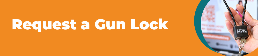 Gun Locks